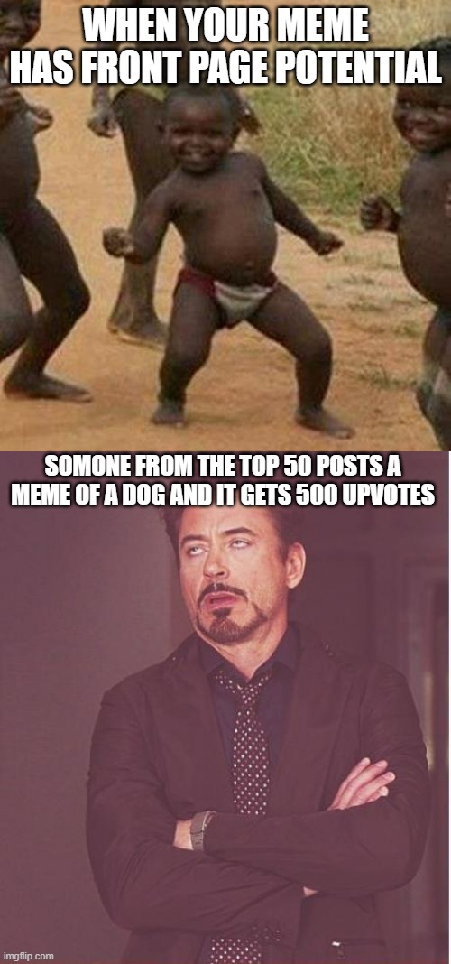 I don't think that it should be based of rank, more so humor | WHEN YOUR MEME HAS FRONT PAGE POTENTIAL; SOMONE FROM THE TOP 50 POSTS A MEME OF A DOG AND IT GETS 500 UPVOTES | image tagged in memes,third world success kid,face you make robert downey jr | made w/ Imgflip meme maker