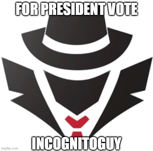 IncognitoGuy for President | FOR PRESIDENT VOTE; INCOGNITOGUY | image tagged in incognito,president | made w/ Imgflip meme maker