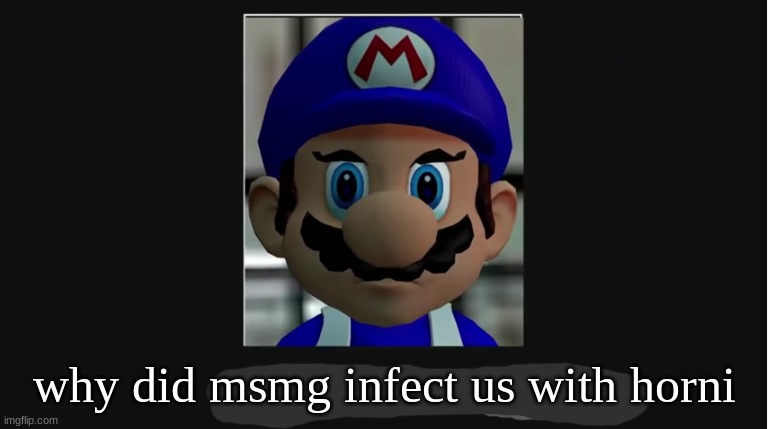 why did msmg infect us with horni | made w/ Imgflip meme maker
