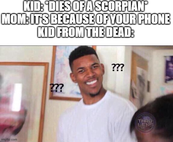 Figured I might as well try this meme | KID: *DIES OF A SCORPIAN*
MOM: IT'S BECAUSE OF YOUR PHONE
KID FROM THE DEAD: | image tagged in white box,black guy confused,hi,luna_the_dragon,mom,phone | made w/ Imgflip meme maker