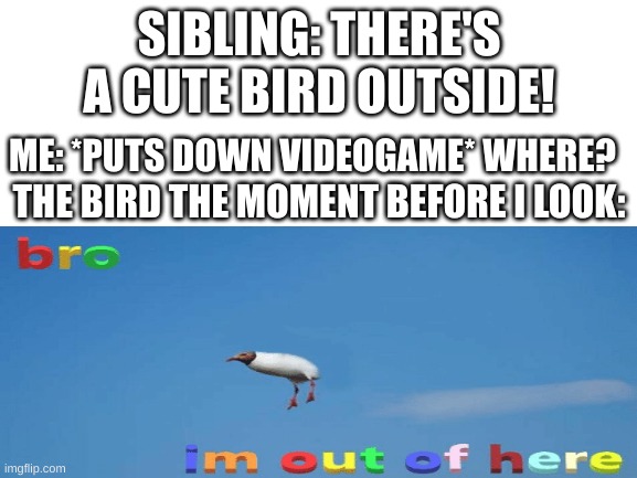 happens every time | SIBLING: THERE'S A CUTE BIRD OUTSIDE! ME: *PUTS DOWN VIDEOGAME* WHERE? THE BIRD THE MOMENT BEFORE I LOOK: | image tagged in bro im out of here,bird,sibling,siblings,family,animals | made w/ Imgflip meme maker