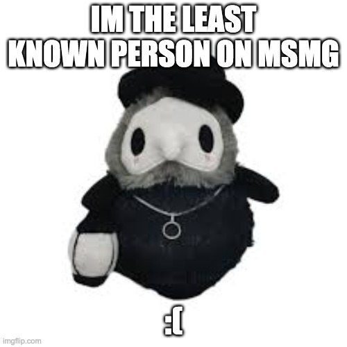 probably the least known person on imgflip too. | IM THE LEAST KNOWN PERSON ON MSMG; :( | image tagged in i have no idea what i am doing | made w/ Imgflip meme maker