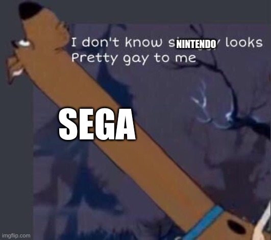 i dont know shaggy looks pretty gay to me | NINTENDO; SEGA | image tagged in i dont know shaggy looks pretty gay to me | made w/ Imgflip meme maker