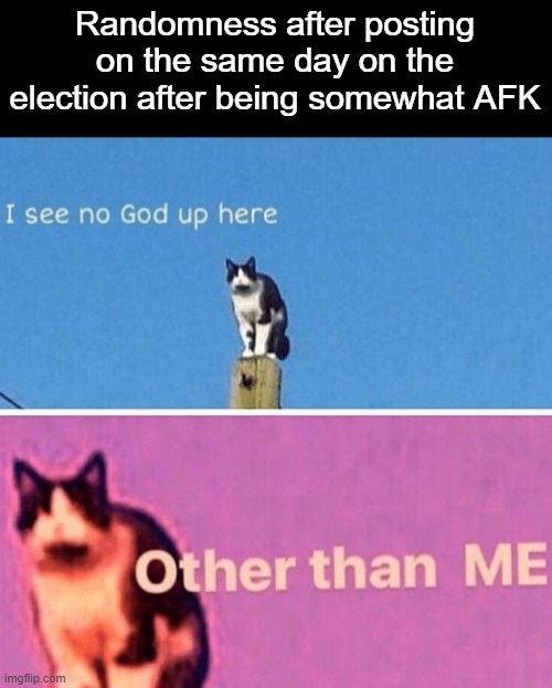 I don't think it's likely that he wins | Randomness after posting on the same day on the election after being somewhat AFK | image tagged in hail pole cat | made w/ Imgflip meme maker