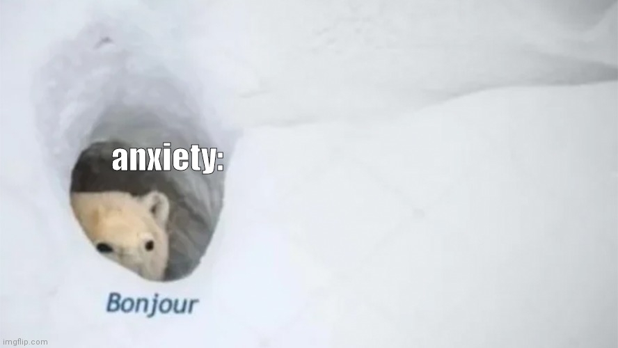 Bonjur | anxiety: | image tagged in bonjur | made w/ Imgflip meme maker