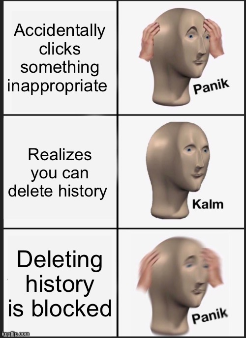 deleting history | Accidentally clicks something inappropriate; Realizes you can delete history; Deleting history is blocked | image tagged in memes,panik kalm panik | made w/ Imgflip meme maker