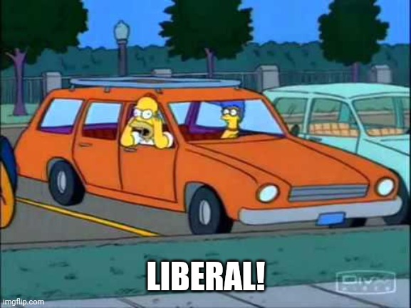 Homer Simpson Nerd | LIBERAL! | image tagged in homer simpson nerd | made w/ Imgflip meme maker