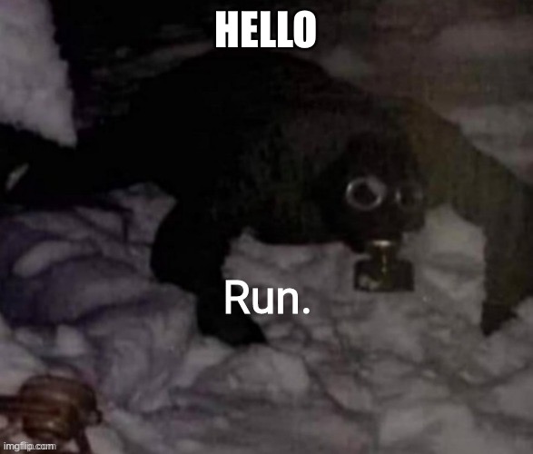Run. | HELLO | image tagged in run | made w/ Imgflip meme maker