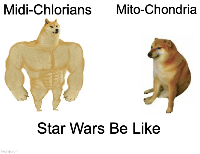 Star Wars In a Nutshell | Midi-Chlorians; Mito-Chondria; Star Wars Be Like | image tagged in memes,buff doge vs cheems | made w/ Imgflip meme maker