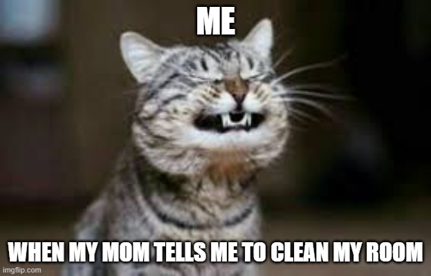 Grimacing Cat | ME; WHEN MY MOM TELLS ME TO CLEAN MY ROOM | image tagged in grimacing cat,memes,cat,funny,funny memes,cats | made w/ Imgflip meme maker