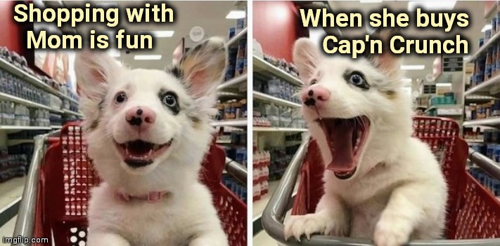 My favorite |  Shopping with
   Mom is fun; When she buys  
Cap'n Crunch | image tagged in happy puppy,captain crunch cereal,killer,breakfast,snacks | made w/ Imgflip meme maker