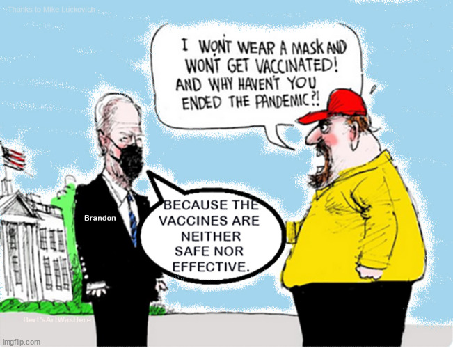 Why aren't you ending the pandemic Joe Brandon !? Because the vaccines are neither safe nor effective | image tagged in memes | made w/ Imgflip meme maker