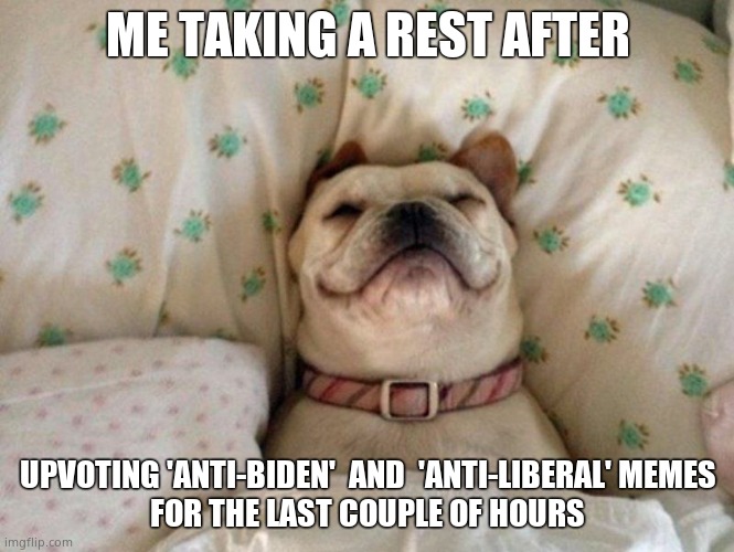 Well deserved rest | ME TAKING A REST AFTER; UPVOTING 'ANTI-BIDEN'  AND  'ANTI-LIBERAL' MEMES
FOR THE LAST COUPLE OF HOURS | image tagged in memes,funny memes,real politics,resting | made w/ Imgflip meme maker