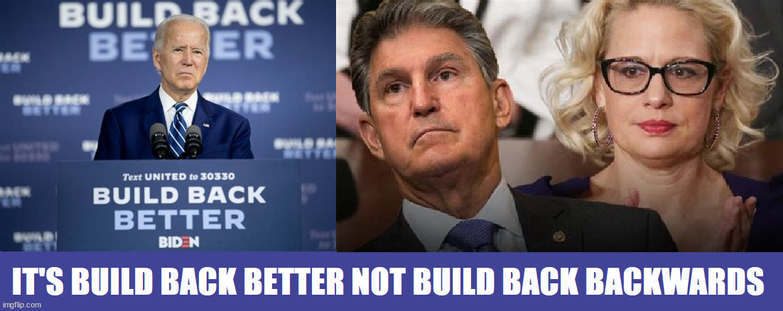 Build Back Better... | image tagged in joe biden,president,dino,traitors | made w/ Imgflip meme maker