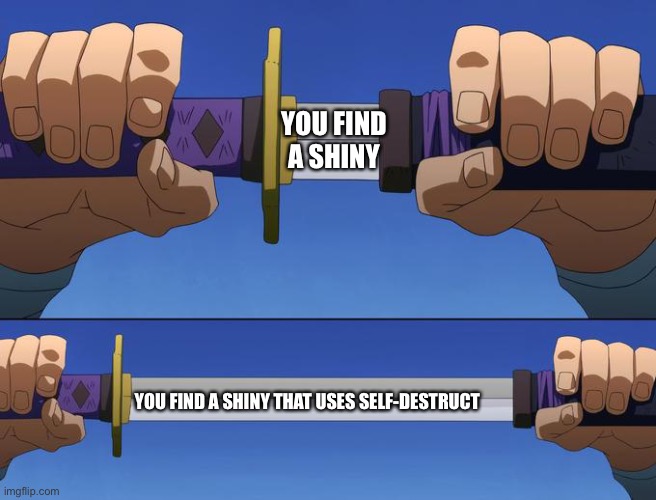 unsheathe sword | YOU FIND A SHINY; YOU FIND A SHINY THAT USES SELF-DESTRUCT | image tagged in unsheathe sword | made w/ Imgflip meme maker