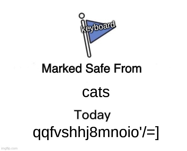 ironic | keyboard; cats; qqfvshhj8mnoio'/=] | image tagged in memes,marked safe from | made w/ Imgflip meme maker