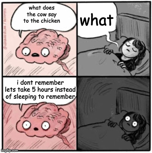 cant sleep | what; what does the cow say to the chicken; i dont remember lets take 5 hours instead of sleeping to remember | image tagged in brain before sleep | made w/ Imgflip meme maker