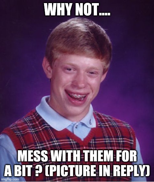 Bad Luck Brian Meme | WHY NOT.... MESS WITH THEM FOR A BIT ? (PICTURE IN REPLY) | image tagged in memes,bad luck brian | made w/ Imgflip meme maker