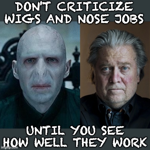 Before and after: no Horcrux necessary | DON'T CRITICIZE WIGS AND NOSE JOBS; UNTIL YOU SEE HOW WELL THEY WORK | image tagged in lord voldemort,steve bannon,evil,harry potter,plastic surgery | made w/ Imgflip meme maker