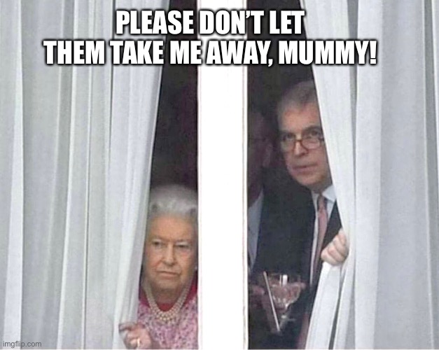 PLEASE DON’T LET THEM TAKE ME AWAY, MUMMY! | image tagged in prince andrew,jeffrey epstein | made w/ Imgflip meme maker