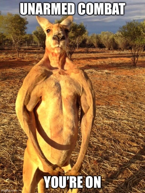 Combat Rpp | UNARMED COMBAT; YOU’RE ON | image tagged in buff kangaroo,buff,strong,combat,unarmed | made w/ Imgflip meme maker