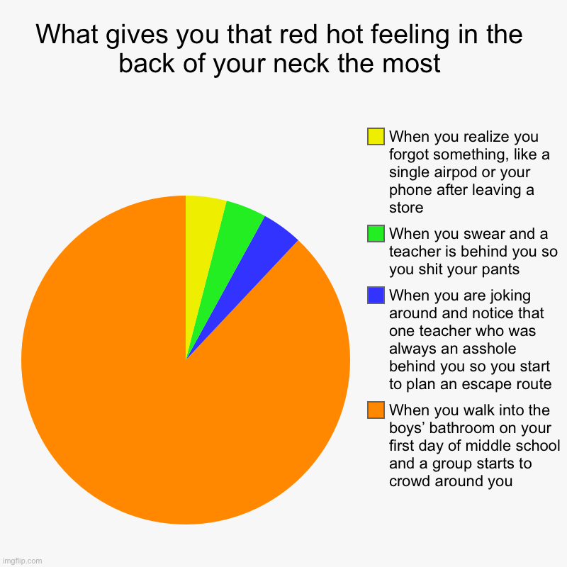 What gives you that red hot feeling in the back of your neck the most | When you walk into the boys’ bathroom on your first day of middle sc | image tagged in charts,pie charts | made w/ Imgflip chart maker