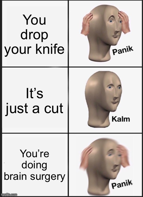 Stab | You drop your knife; It’s just a cut; You’re doing brain surgery | image tagged in memes,panik kalm panik,dark humor | made w/ Imgflip meme maker