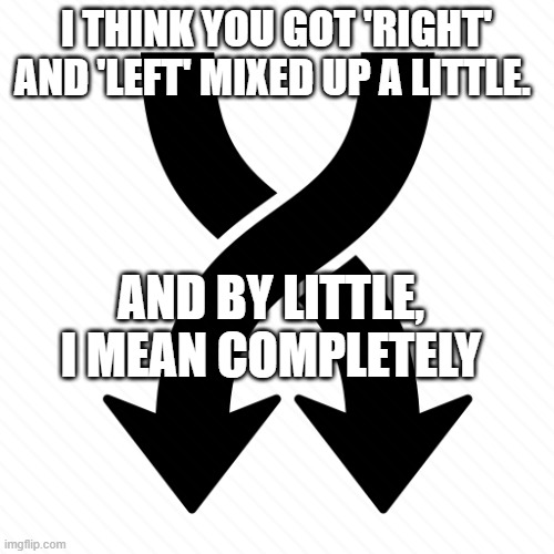 I THINK YOU GOT 'RIGHT' AND 'LEFT' MIXED UP A LITTLE. AND BY LITTLE, I MEAN COMPLETELY | made w/ Imgflip meme maker