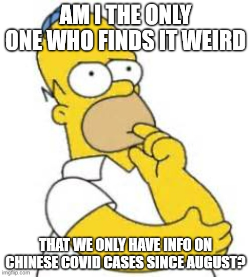 It's freaking December and they aren't with the rest of the world, what is going on? | AM I THE ONLY ONE WHO FINDS IT WEIRD; THAT WE ONLY HAVE INFO ON CHINESE COVID CASES SINCE AUGUST? | image tagged in homer simpson hmmmm | made w/ Imgflip meme maker