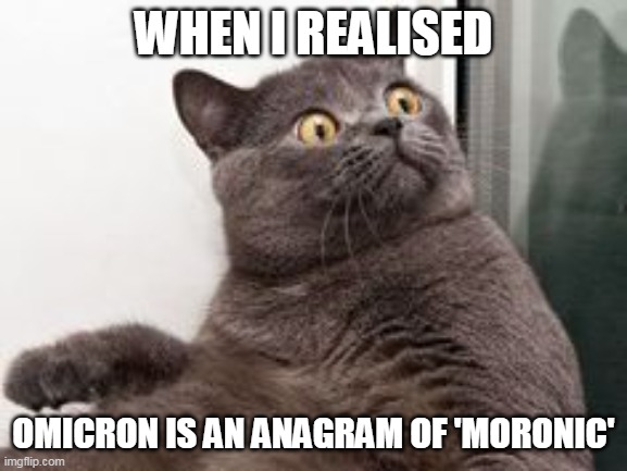 The moment when you realise.... Exams are in a month | WHEN I REALISED OMICRON IS AN ANAGRAM OF 'MORONIC' | image tagged in the moment when you realise exams are in a month | made w/ Imgflip meme maker