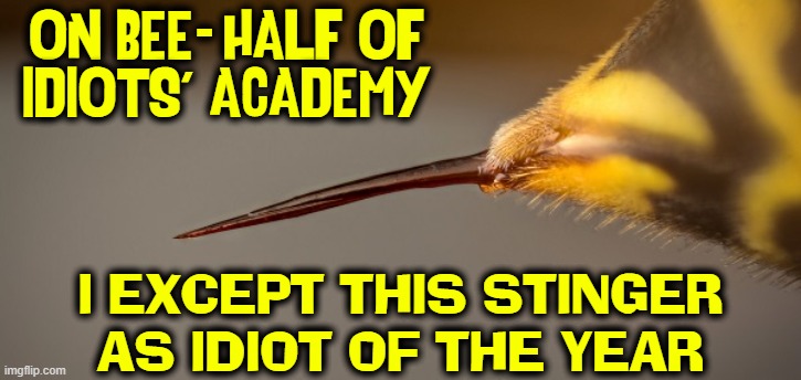 ON BEE  HALF OF
IDIOTS' ACADEMY I EXCEPT THIS STINGER AS IDIOT OF THE YEAR - | made w/ Imgflip meme maker