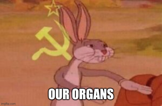 our | OUR ORGANS | image tagged in our | made w/ Imgflip meme maker