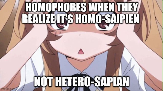 anime realization | HOMOPHOBES WHEN THEY REALIZE IT'S HOMO-SAIPIEN; NOT HETERO-SAPIAN | image tagged in anime realization | made w/ Imgflip meme maker