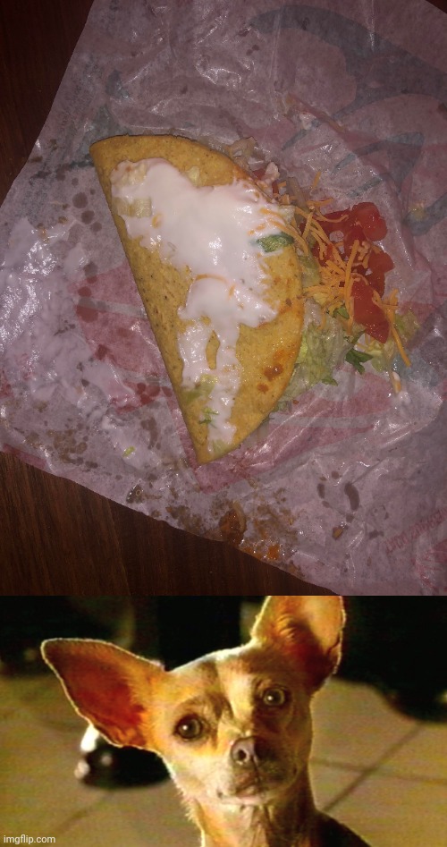 Kinda messed up taco | image tagged in taco bell chihuahua,tacos,taco,you had one job,memes,taco bell | made w/ Imgflip meme maker