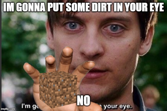 I'm gonna put some dirt in your eye | IM GONNA PUT SOME DIRT IN YOUR EYE; NO | image tagged in i'm gonna put some dirt in your eye | made w/ Imgflip meme maker