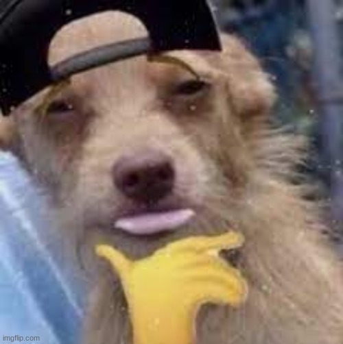 shytpost | made w/ Imgflip meme maker