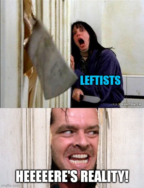 here's johnny | LEFTISTS HEEEEERE'S REALITY! | image tagged in here's johnny | made w/ Imgflip meme maker