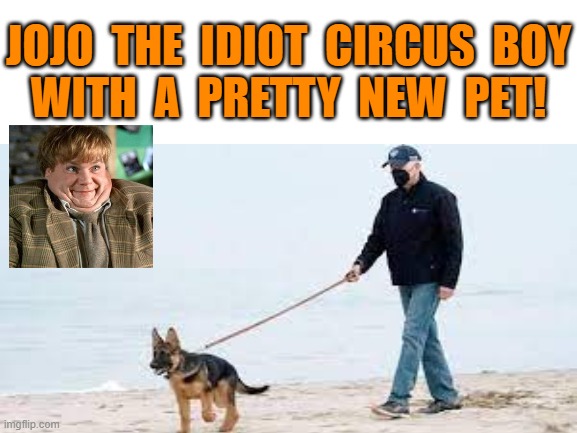 That's when people like us have gotta forge ahead, Helen. Am I right? | JOJO  THE  IDIOT  CIRCUS  BOY
WITH  A  PRETTY  NEW  PET! | image tagged in lets go brandon,fjb,cnn fake news,msm lies,election fraud,dementia | made w/ Imgflip meme maker