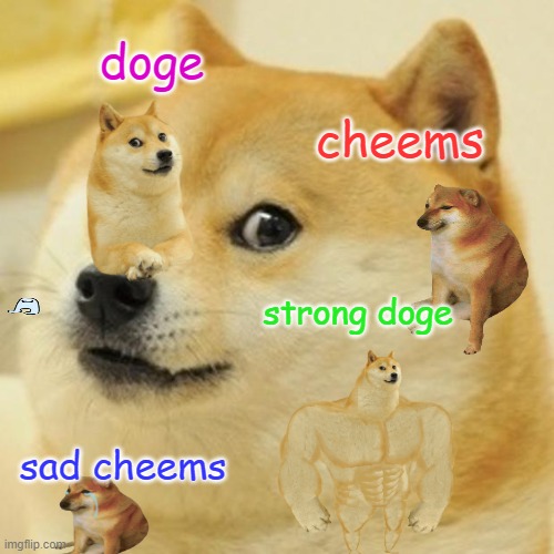 Doge | doge; cheems; strong doge; sad cheems | image tagged in memes,doge | made w/ Imgflip meme maker