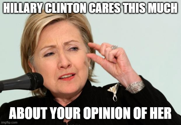This Much |  HILLARY CLINTON CARES THIS MUCH; ABOUT YOUR OPINION OF HER | made w/ Imgflip meme maker