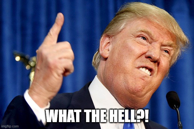 WHAT THE HELL?! | image tagged in donald trump | made w/ Imgflip meme maker