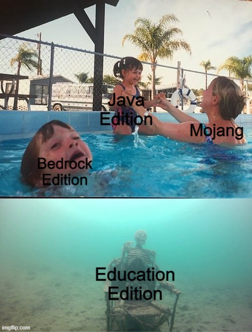 and then there is ps2 edition | Java Edition; Mojang; Bedrock Edition; Education Edition | image tagged in mother ignoring kid drowning in a pool,barney will eat all of your delectable biscuits,minecraft,bed | made w/ Imgflip meme maker