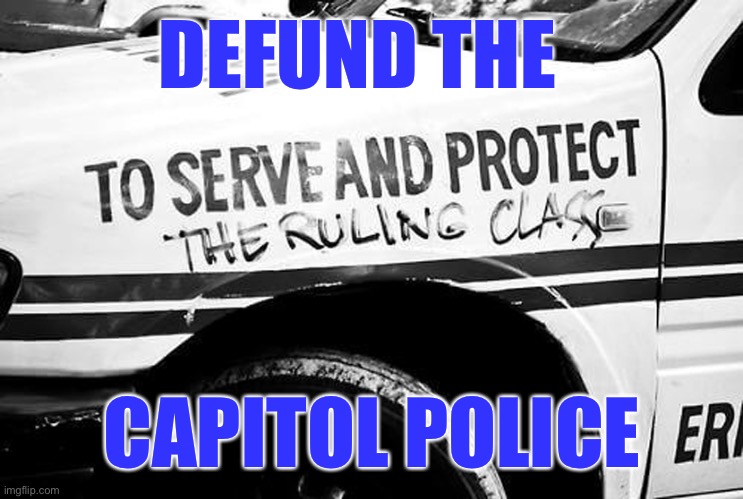 Never forget January 6 | DEFUND THE; CAPITOL POLICE | image tagged in police state | made w/ Imgflip meme maker