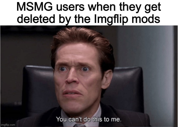 You can't do this to me | MSMG users when they get deleted by the Imgflip mods | image tagged in you can't do this to me | made w/ Imgflip meme maker