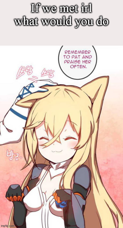 Remember to pat and praise her often | If we met irl what would you do | image tagged in remember to pat and praise her often | made w/ Imgflip meme maker