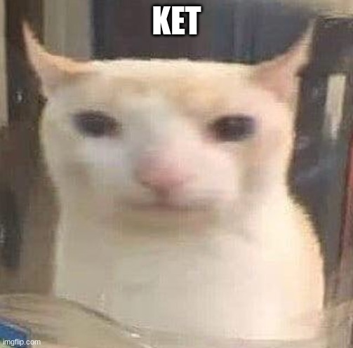 ket | KET | made w/ Imgflip meme maker