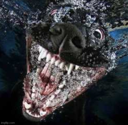 boo | made w/ Imgflip meme maker