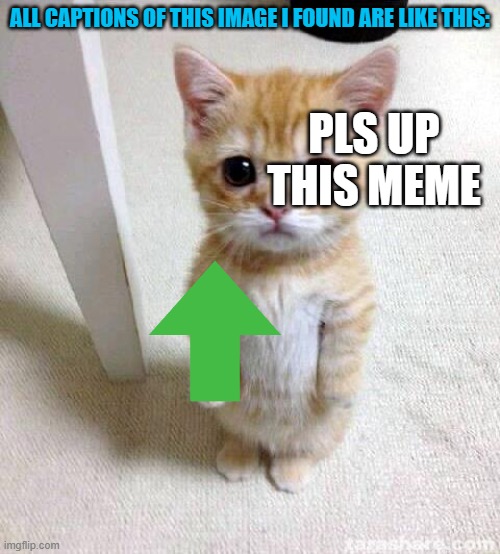Why? | ALL CAPTIONS OF THIS IMAGE I FOUND ARE LIKE THIS:; PLS UP THIS MEME | image tagged in memes,cute cat,legend,found,up,pls | made w/ Imgflip meme maker