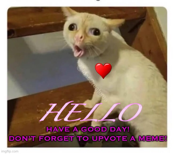 Pls upvote a meme that deserves it (after all, it gives you a point) | HELLO; HAVE A GOOD DAY!
DON’T FORGET TO UPVOTE A MEME! | image tagged in coughing cat,upvote | made w/ Imgflip meme maker