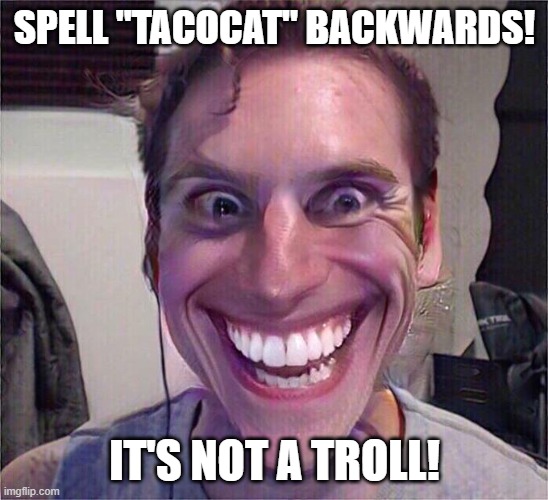 Not a troll meme | SPELL "TACOCAT" BACKWARDS! IT'S NOT A TROLL! | image tagged in jerma sus | made w/ Imgflip meme maker